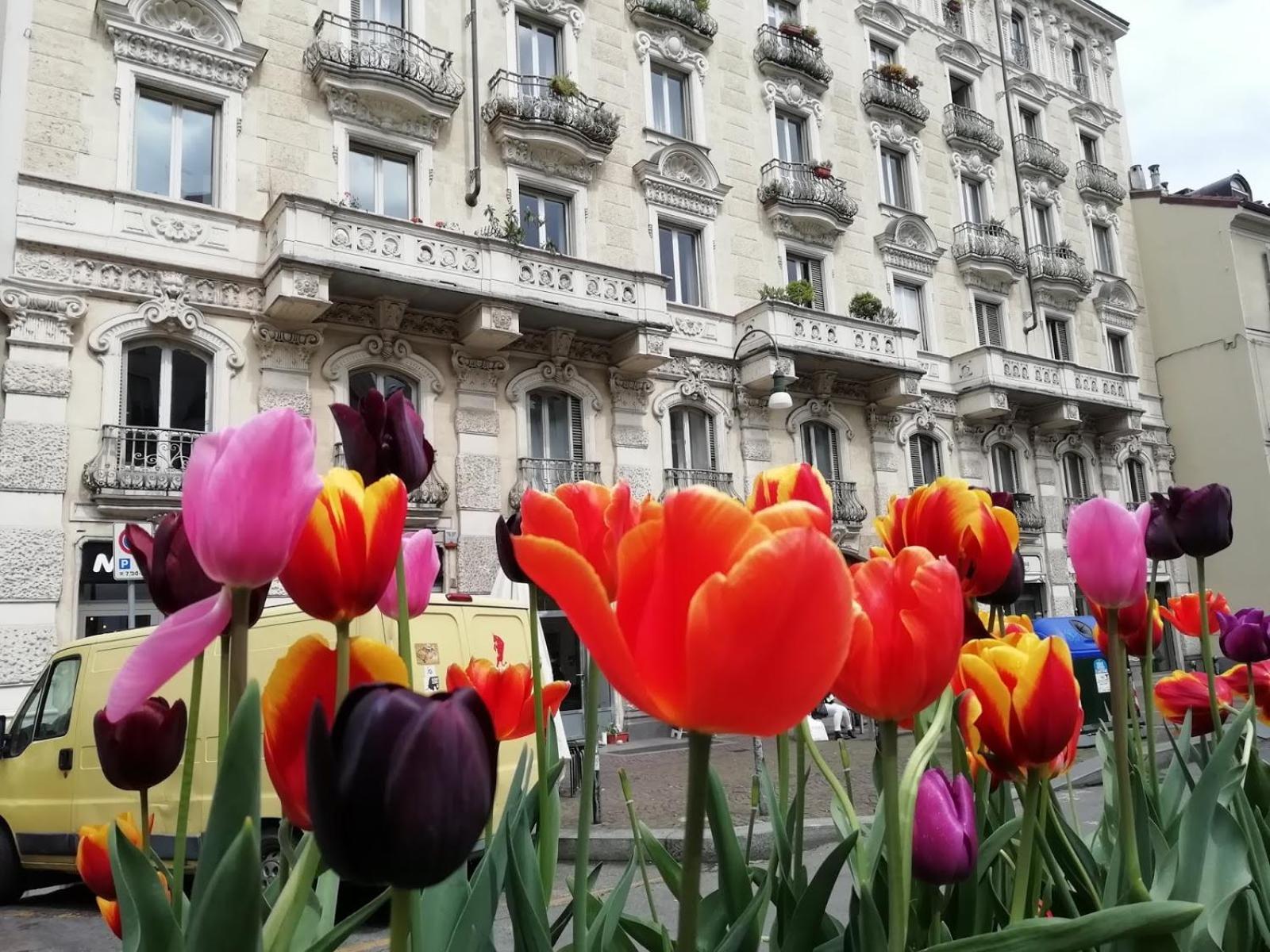 Apartmán Emanuele Filiberto Turín Exteriér fotografie
